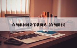 乌海白鹅素材特效下载网站（白鹅摄影）